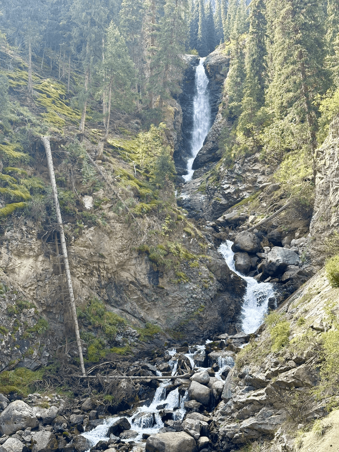 IMG_1 (1)