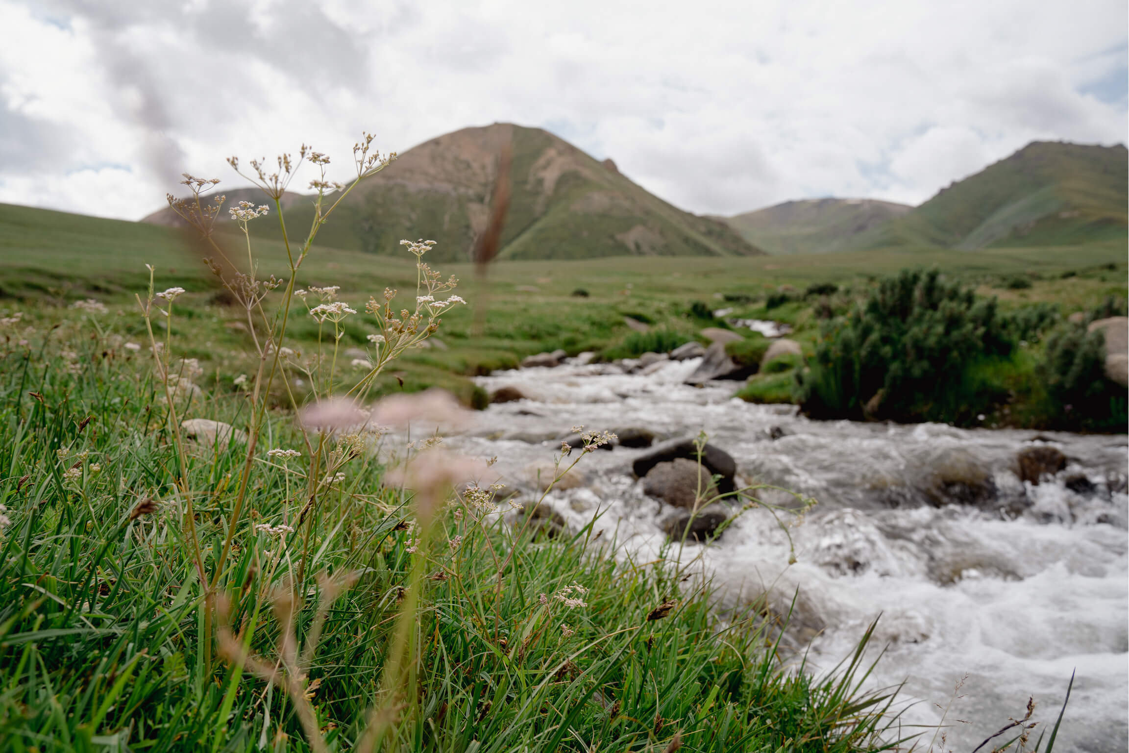 river (1)